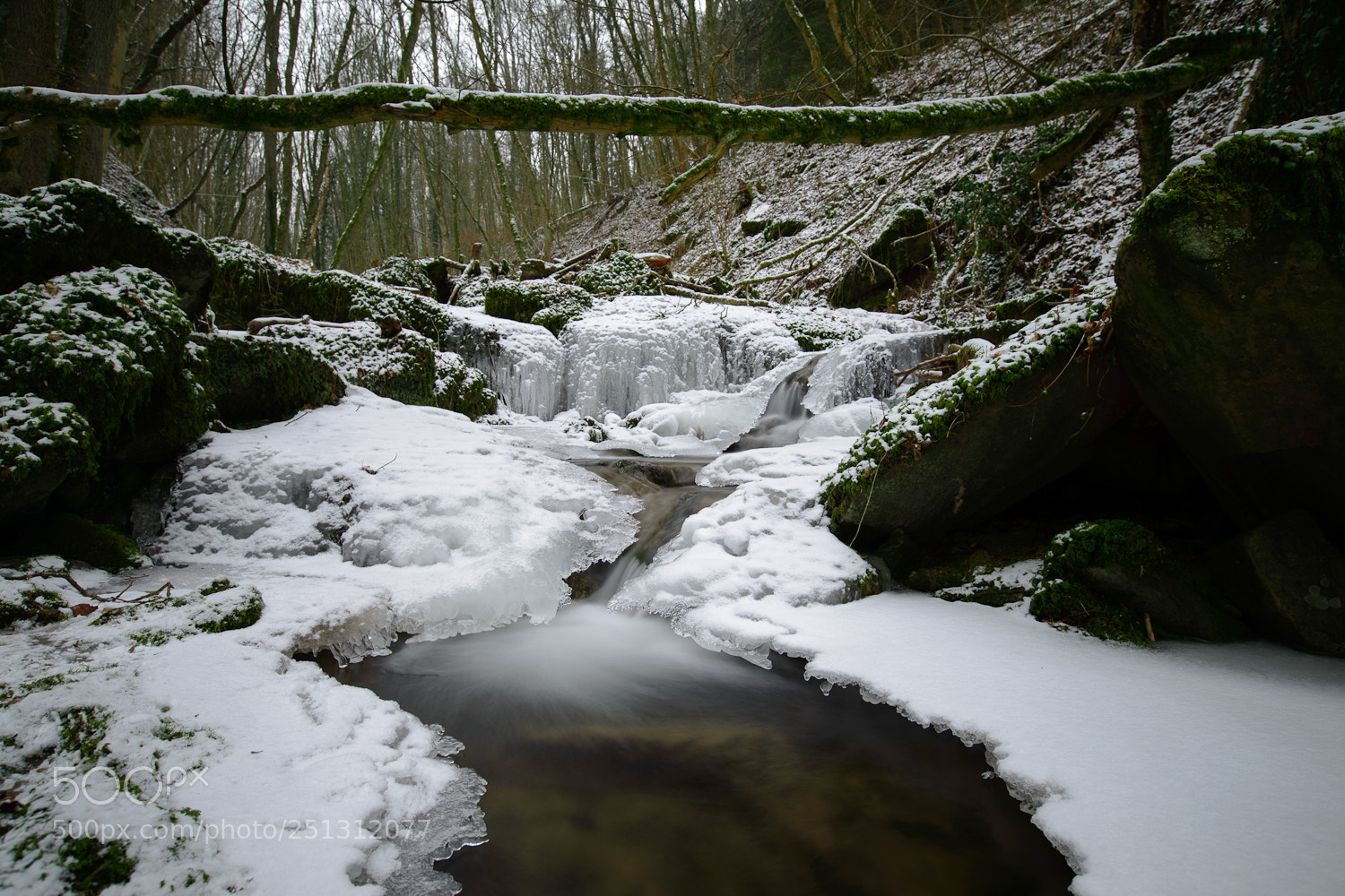 Nikon D800 sample photo. I c e photography