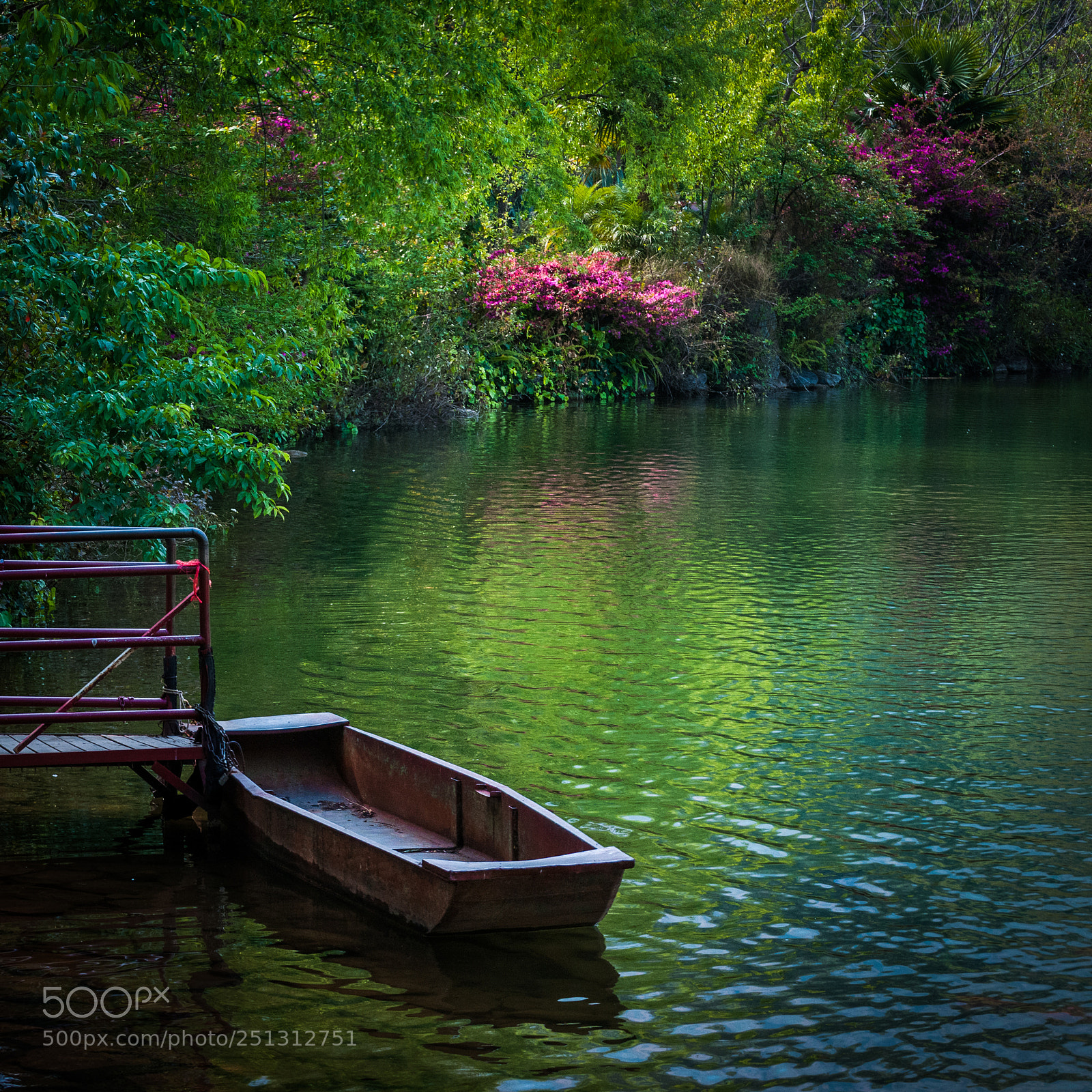 Nikon D300S sample photo. Spring scenery photography