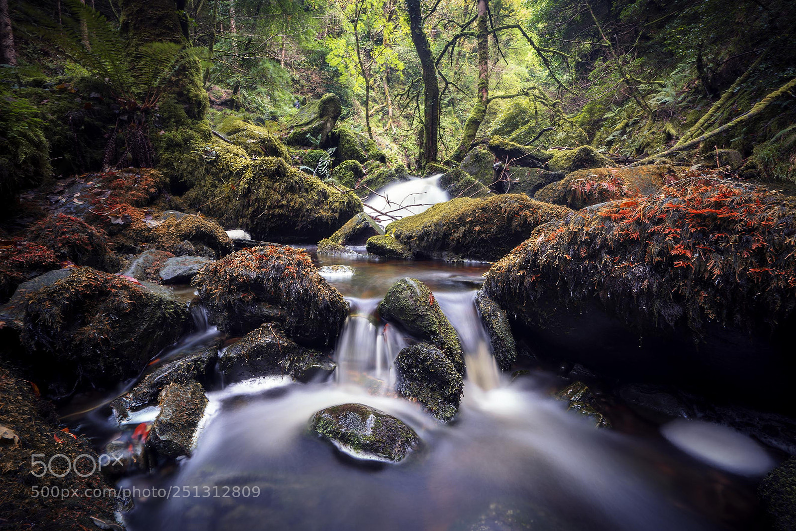 Sony a7R II sample photo. Torc falls photography