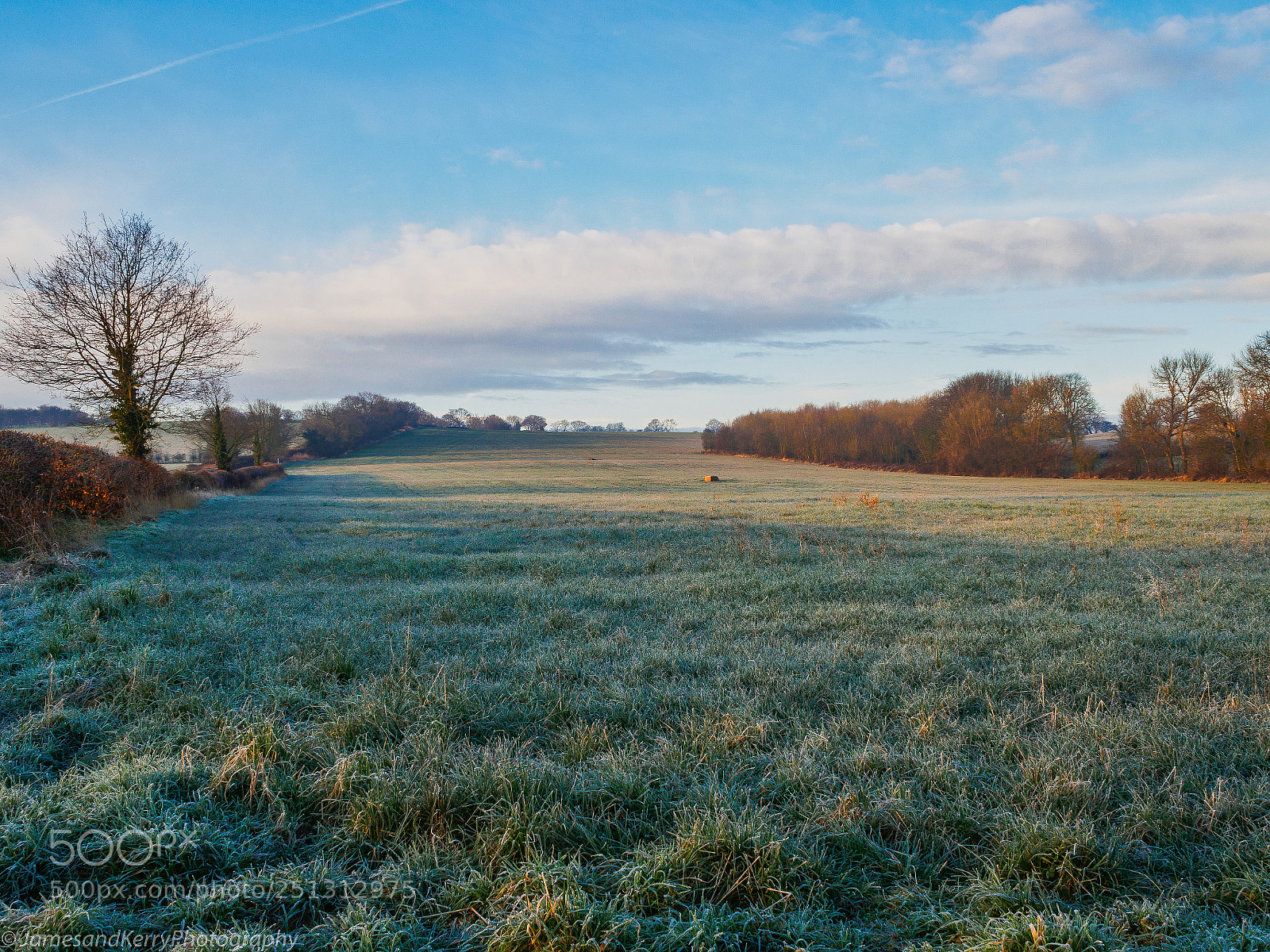 Olympus PEN-F sample photo. Fresh and frosty start photography