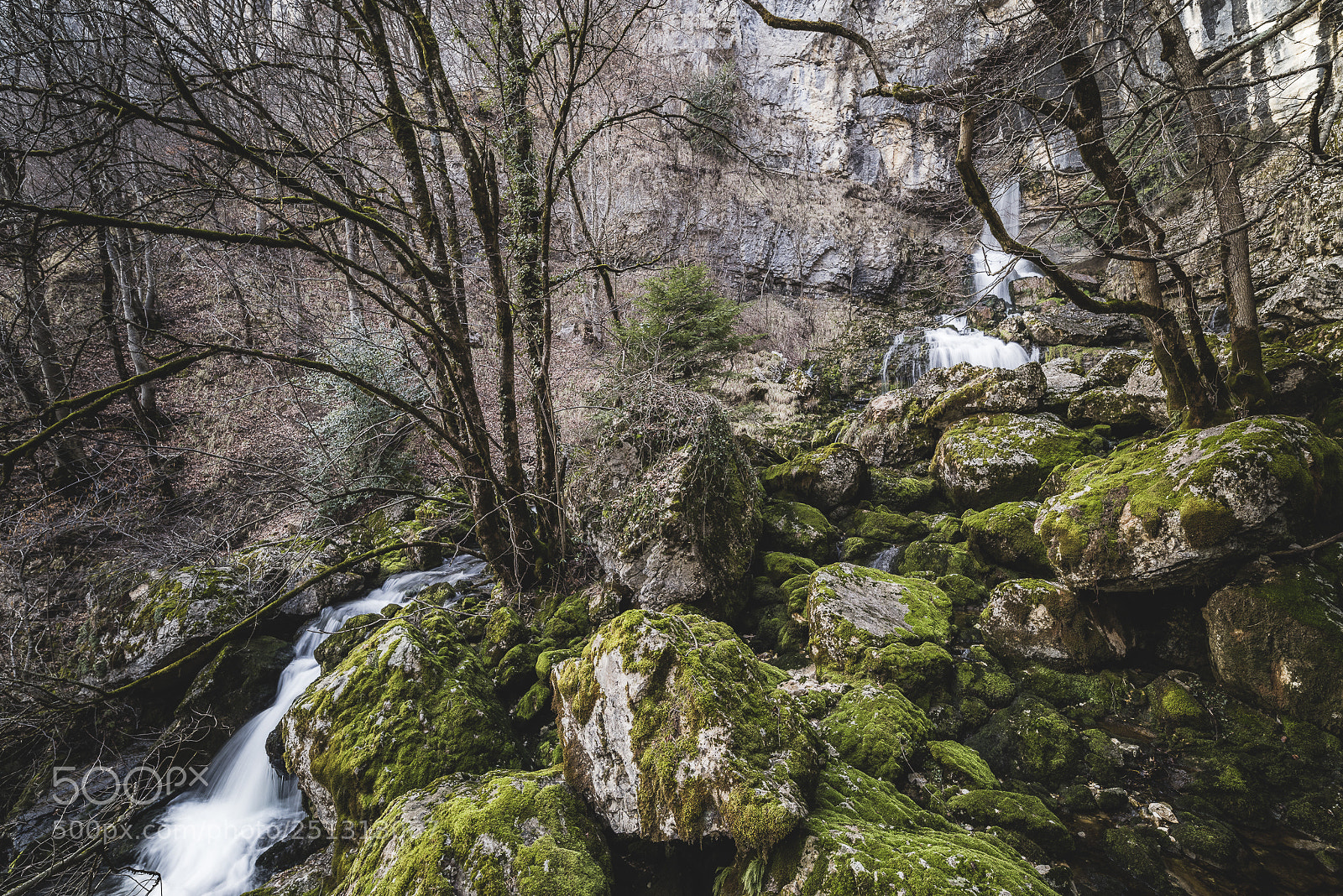 Nikon D810 sample photo. Jusqu'à la source photography
