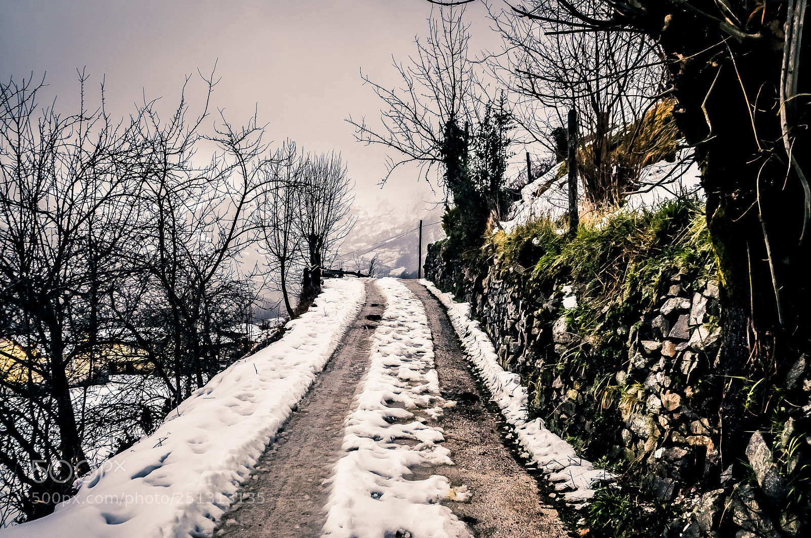 Nikon D90 sample photo. Camino nevado photography