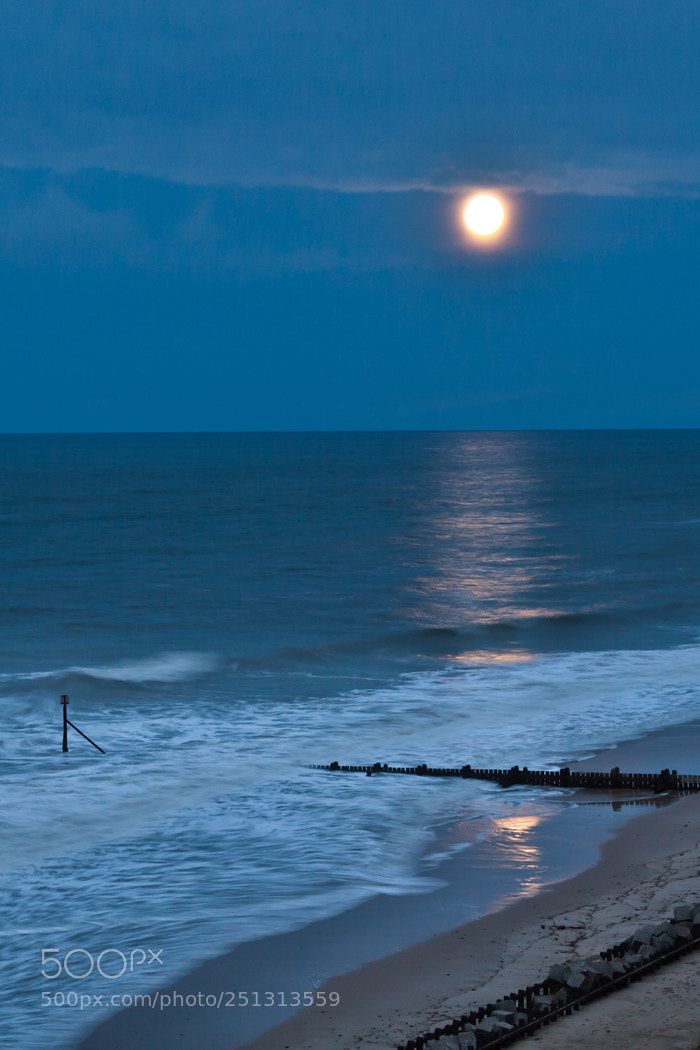 Canon EOS 50D sample photo. Moonlit tides photography