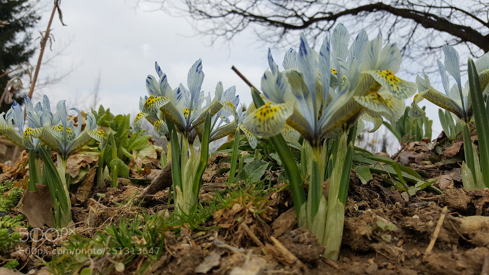 Samsung GALAXY S6 edge sample photo. Untitled photography