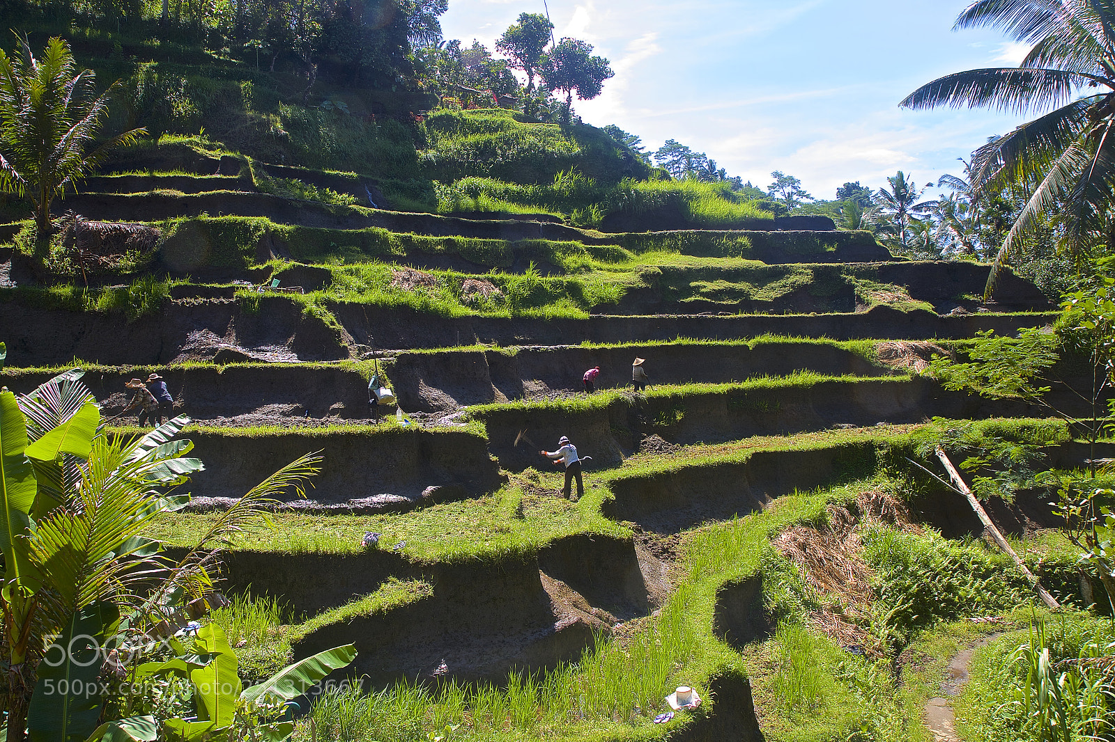 Canon EOS 7D sample photo. Bali photography