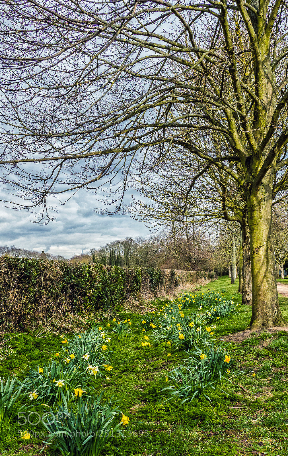 Olympus OM-D E-M1 Mark II sample photo. Olympus digital camera photography