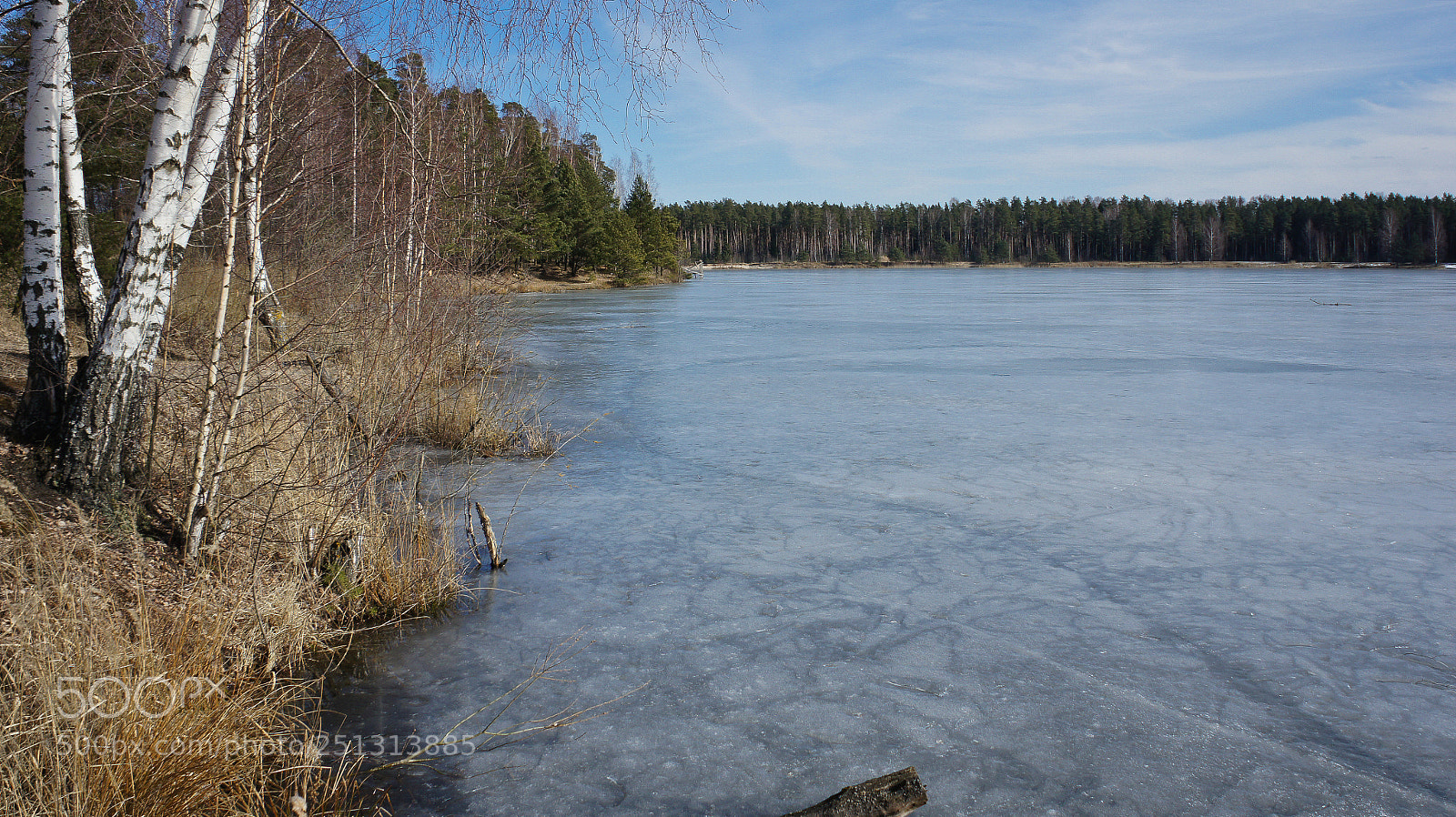 Sony Alpha NEX-5 sample photo. Early spring photography