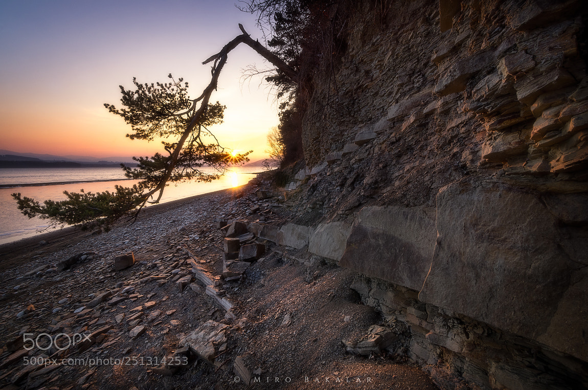Nikon D7000 sample photo. (spring sunset) photography