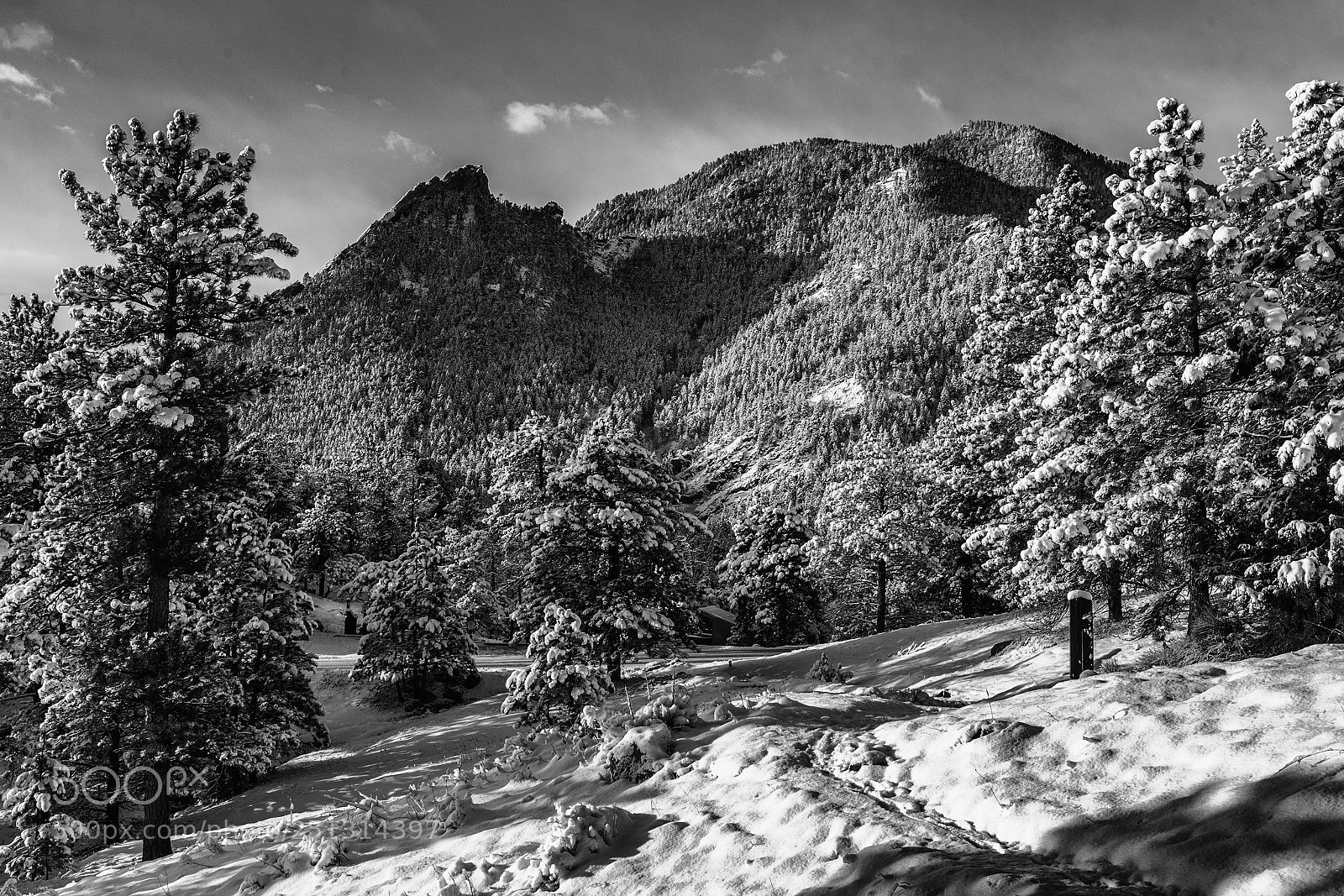 Canon EOS 5D Mark II sample photo. Spring snow storm in photography