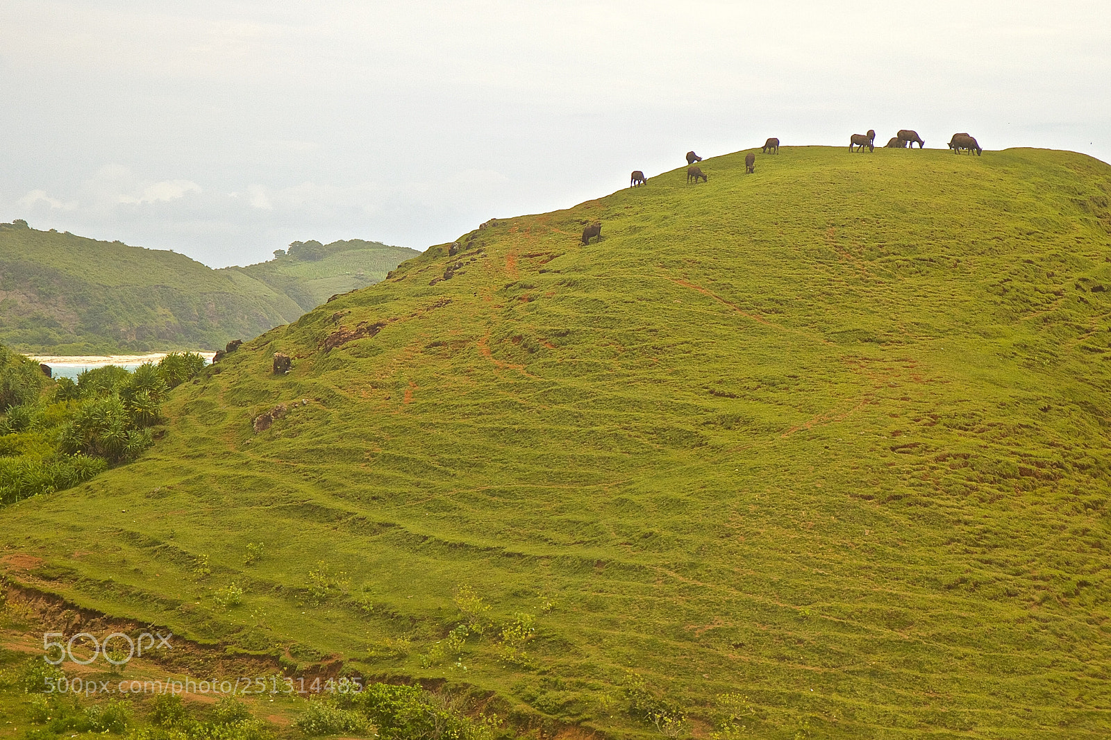Canon EOS 7D sample photo. Lombok photography
