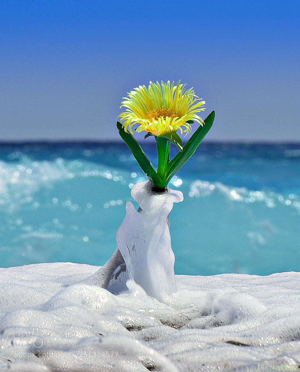 Nikon D5100 sample photo. ...spring is here ... photography