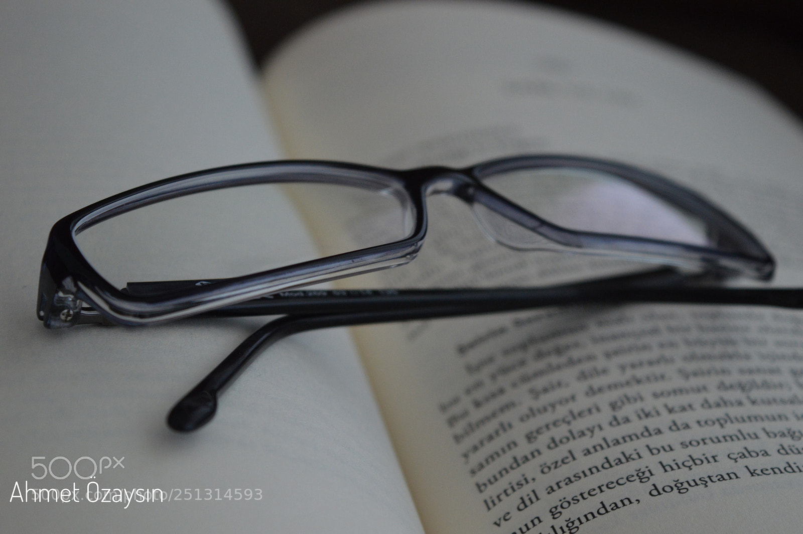 Nikon D3200 sample photo. Reading photography