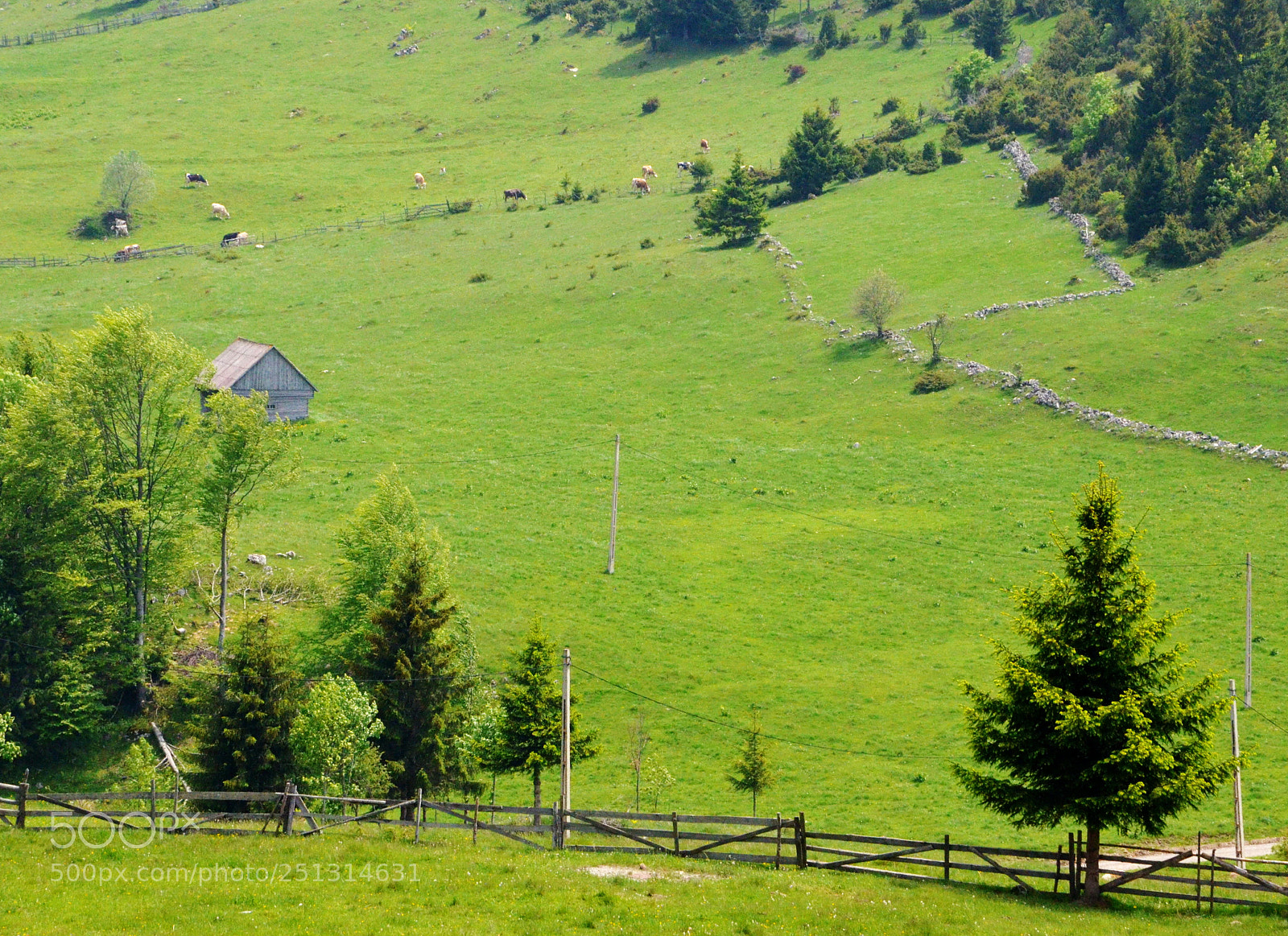 Nikon D5100 sample photo. Hidden house photography