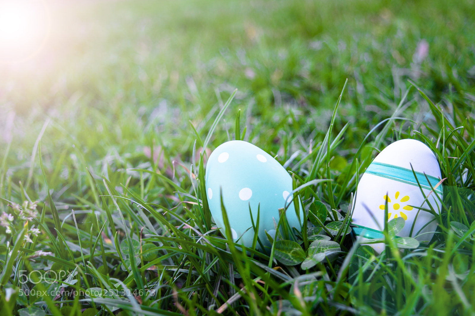 Nikon D3200 sample photo. Easter eggs hiding in photography