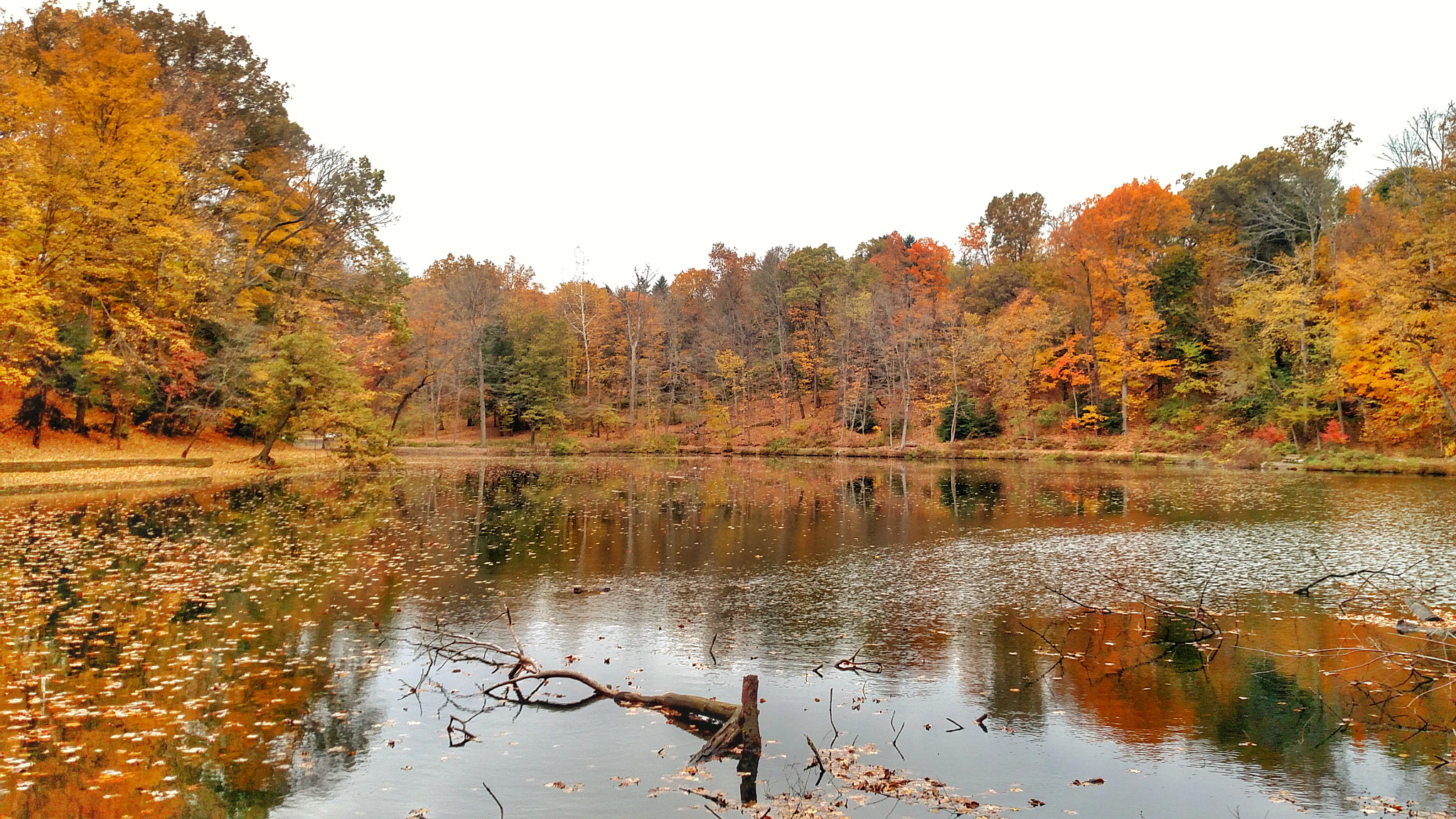 Motorola Droid Turbo sample photo. Lake view of fall photography