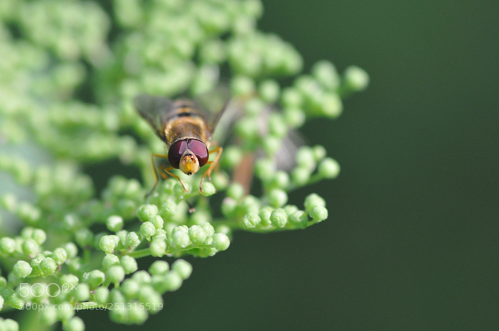 Nikon D300 sample photo. I'm coming !!!! photography