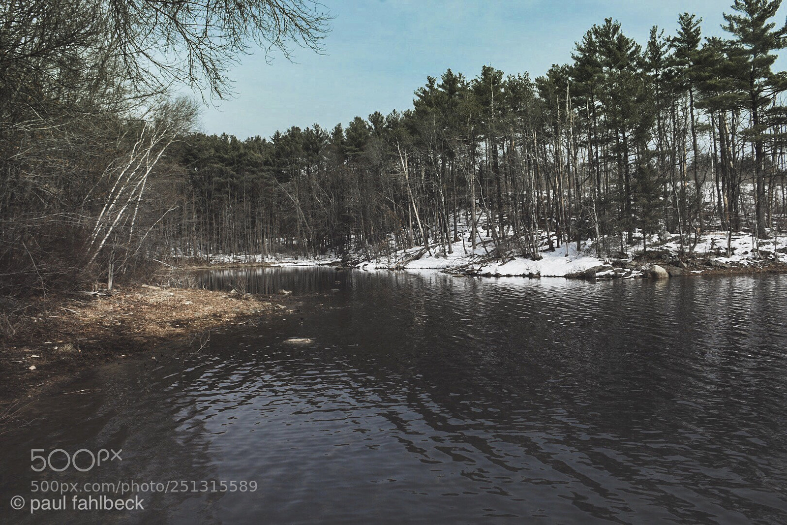 Nikon D7200 sample photo. Untitled  photography