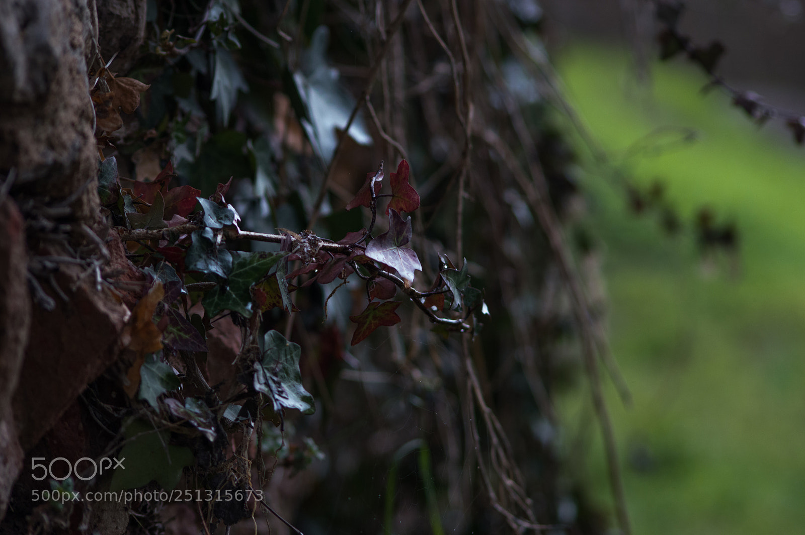 Nikon D3200 sample photo. Details photography