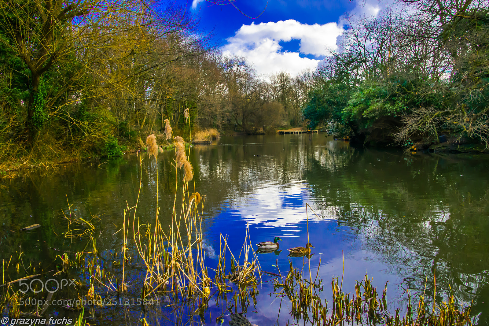 Nikon D3300 sample photo. Not every lake dreams photography