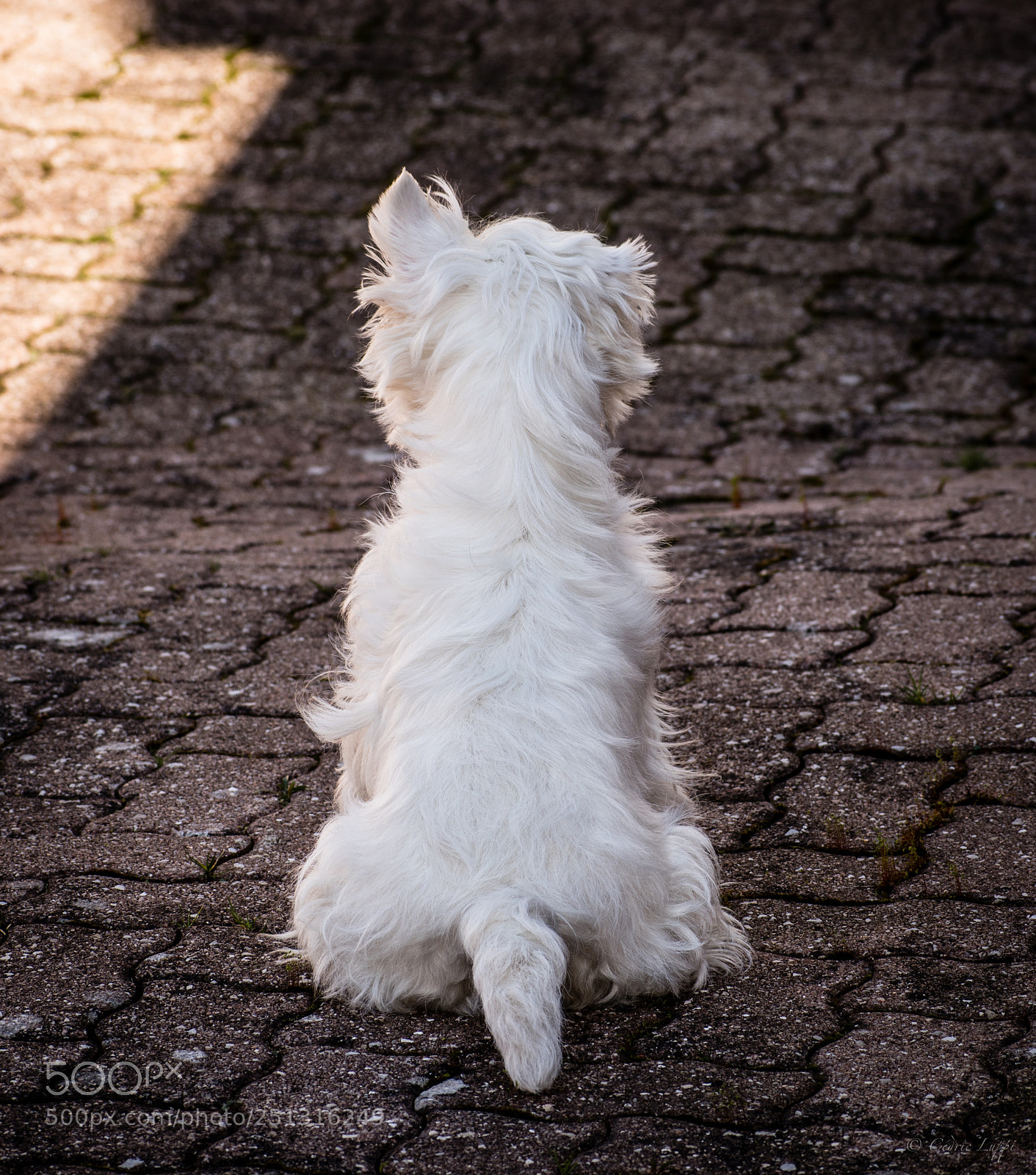 Nikon D5500 sample photo. Straight photography
