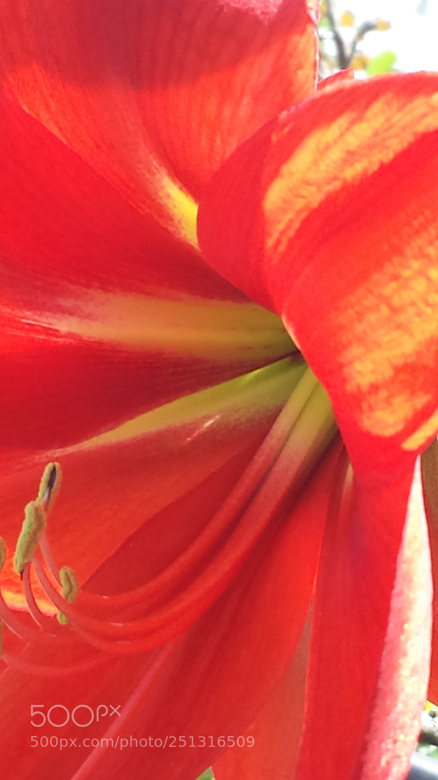 Samsung Galaxy S4 sample photo. Untitled photography