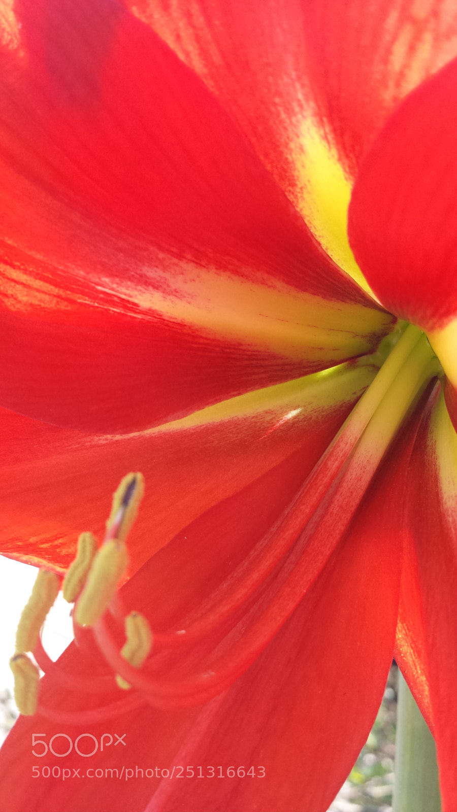 Samsung Galaxy S4 sample photo. Untitled photography
