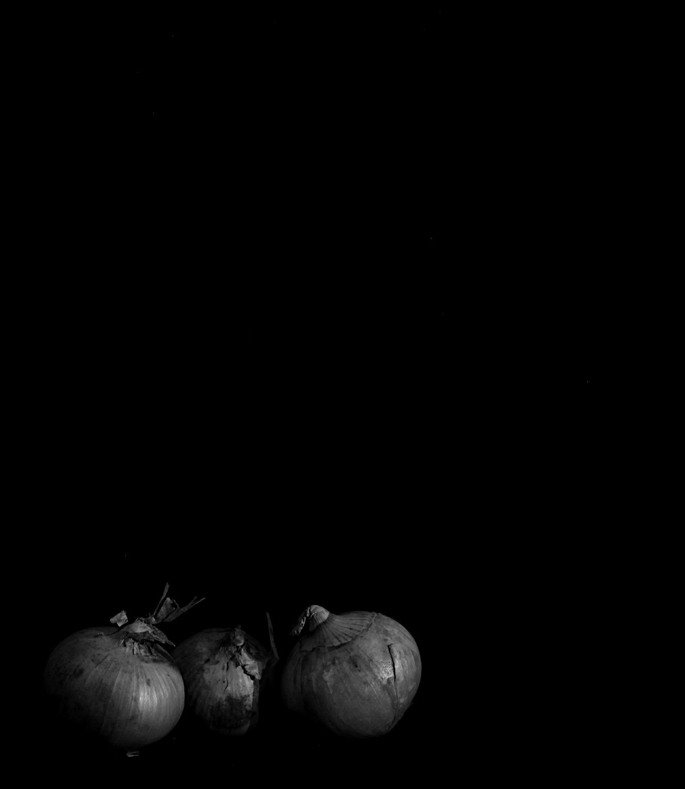 Canon EOS 550D (EOS Rebel T2i / EOS Kiss X4) + Canon EF 40mm F2.8 STM sample photo. Three onions conspiring photography