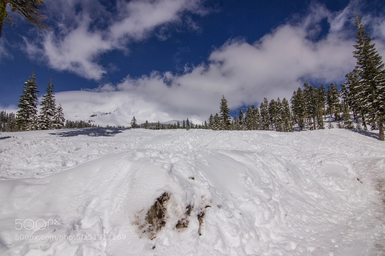 Canon EOS 600D (Rebel EOS T3i / EOS Kiss X5) sample photo. Mount shasta photography