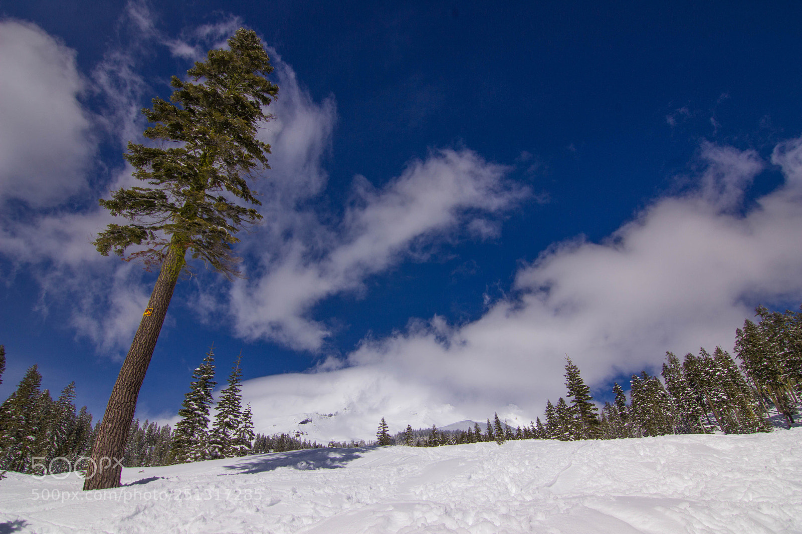 Canon EOS 600D (Rebel EOS T3i / EOS Kiss X5) sample photo. Mount shasta photography