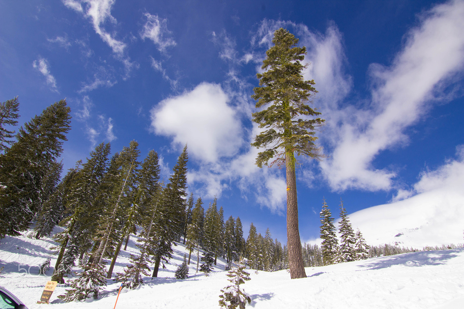 Canon EOS 600D (Rebel EOS T3i / EOS Kiss X5) sample photo. Mount shasta photography