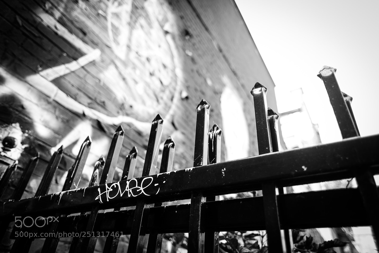 Nikon D600 sample photo. Spike fence  photography