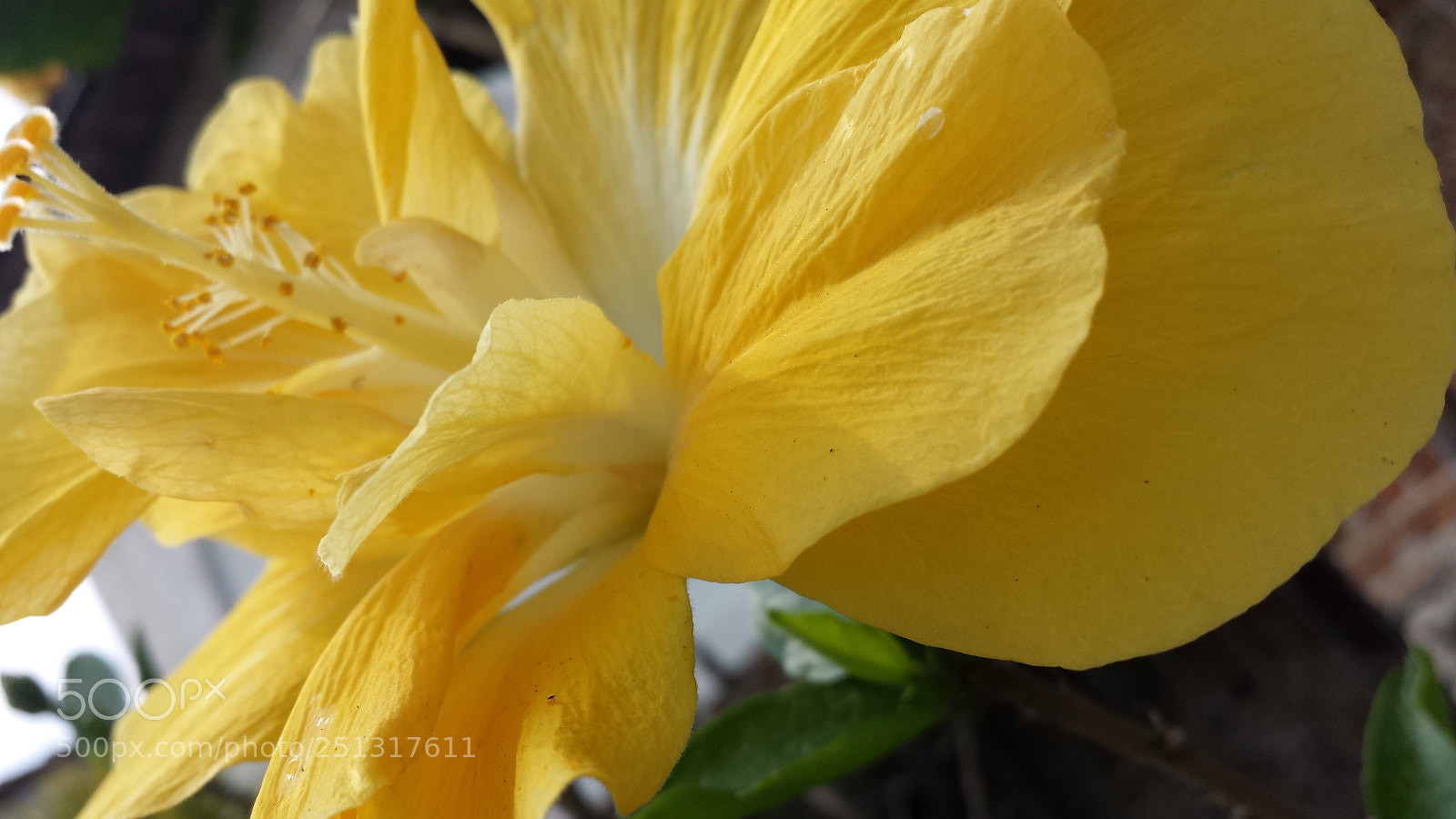 Samsung Galaxy S4 sample photo. Untitled photography