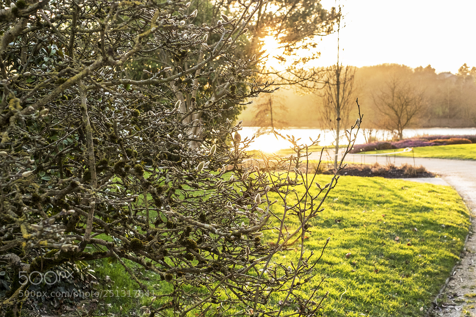 Fujifilm X-E2 sample photo. Special photography