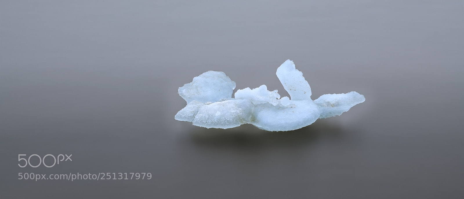 Nikon D850 sample photo. Ufo photography