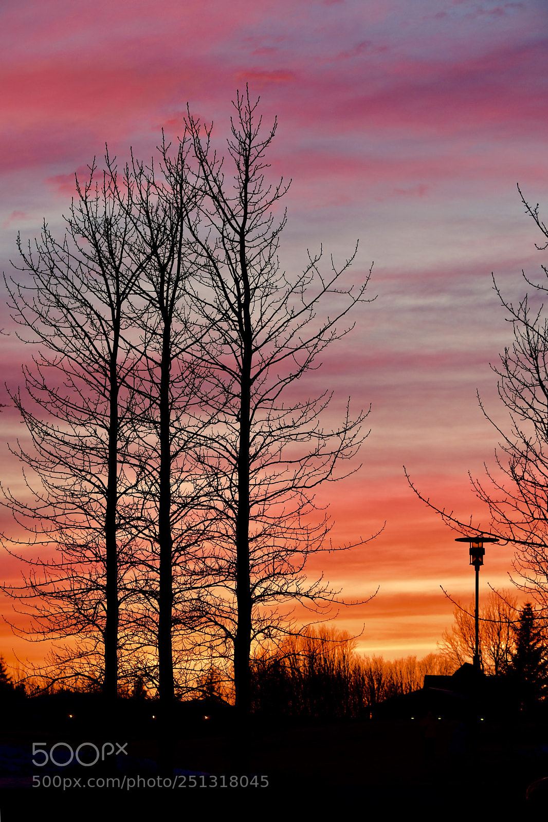 Nikon D850 sample photo. Colorful evening  photography