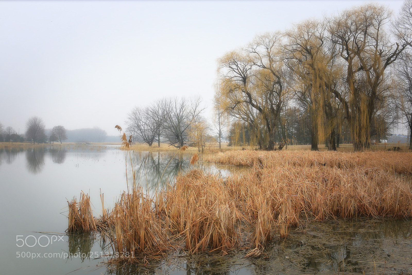 Canon EOS 70D sample photo. Landscape in the fog photography