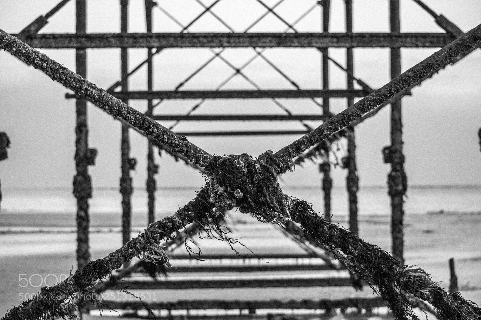 Nikon D3300 sample photo. Under the pier photography