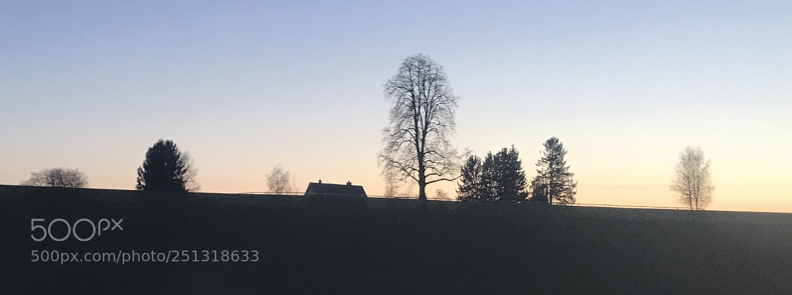 Apple iPhone 7 sample photo. Untitled photography