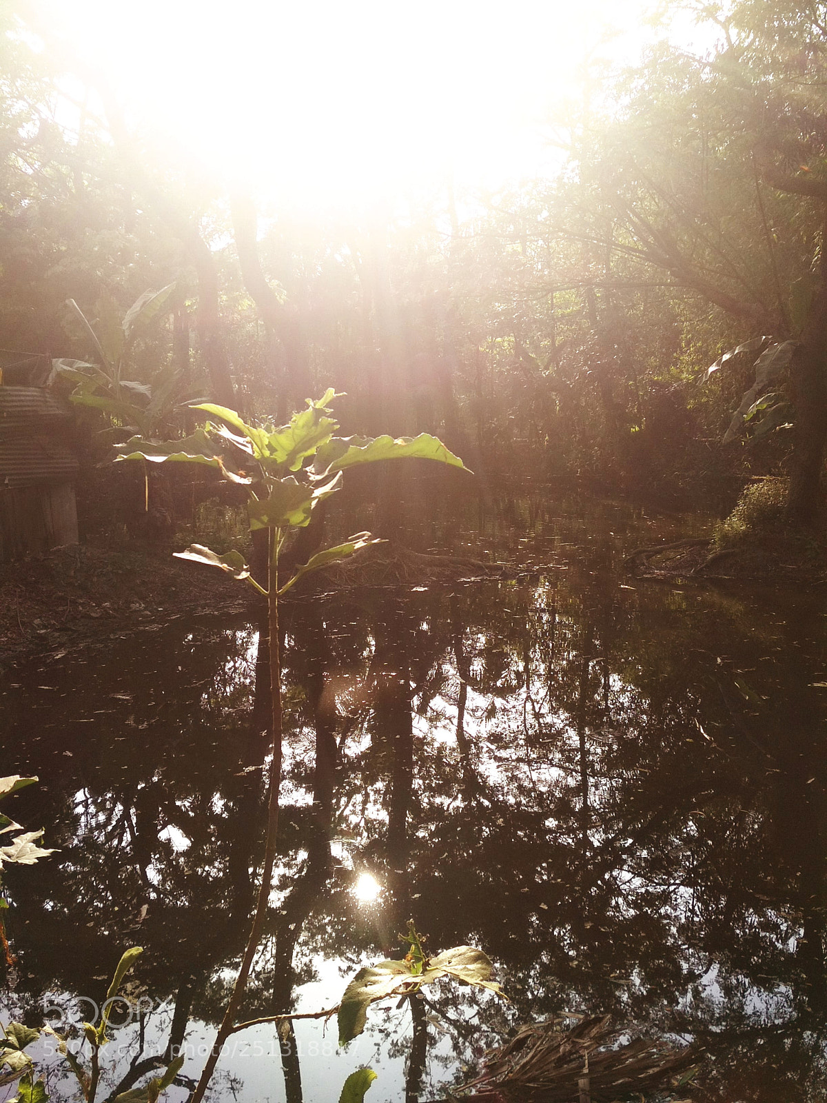 Xiaomi Redmi 4 Pro sample photo. Untitled photography