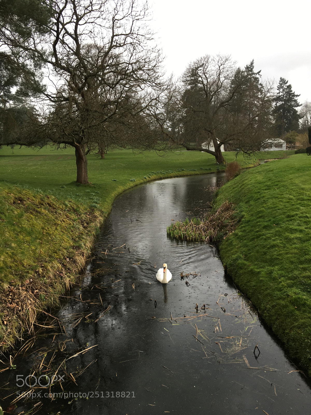Apple iPhone SE sample photo. Rainy day photography