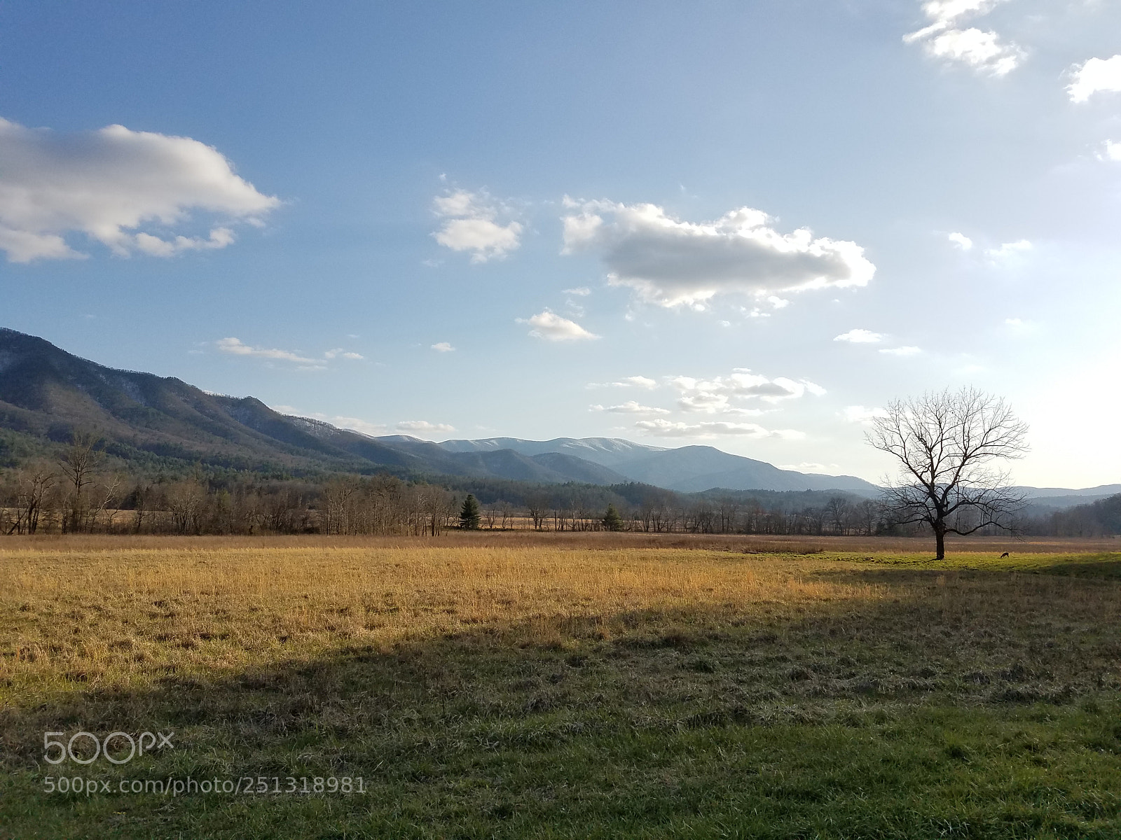 Samsung Galaxy S7 sample photo. Untitled photography