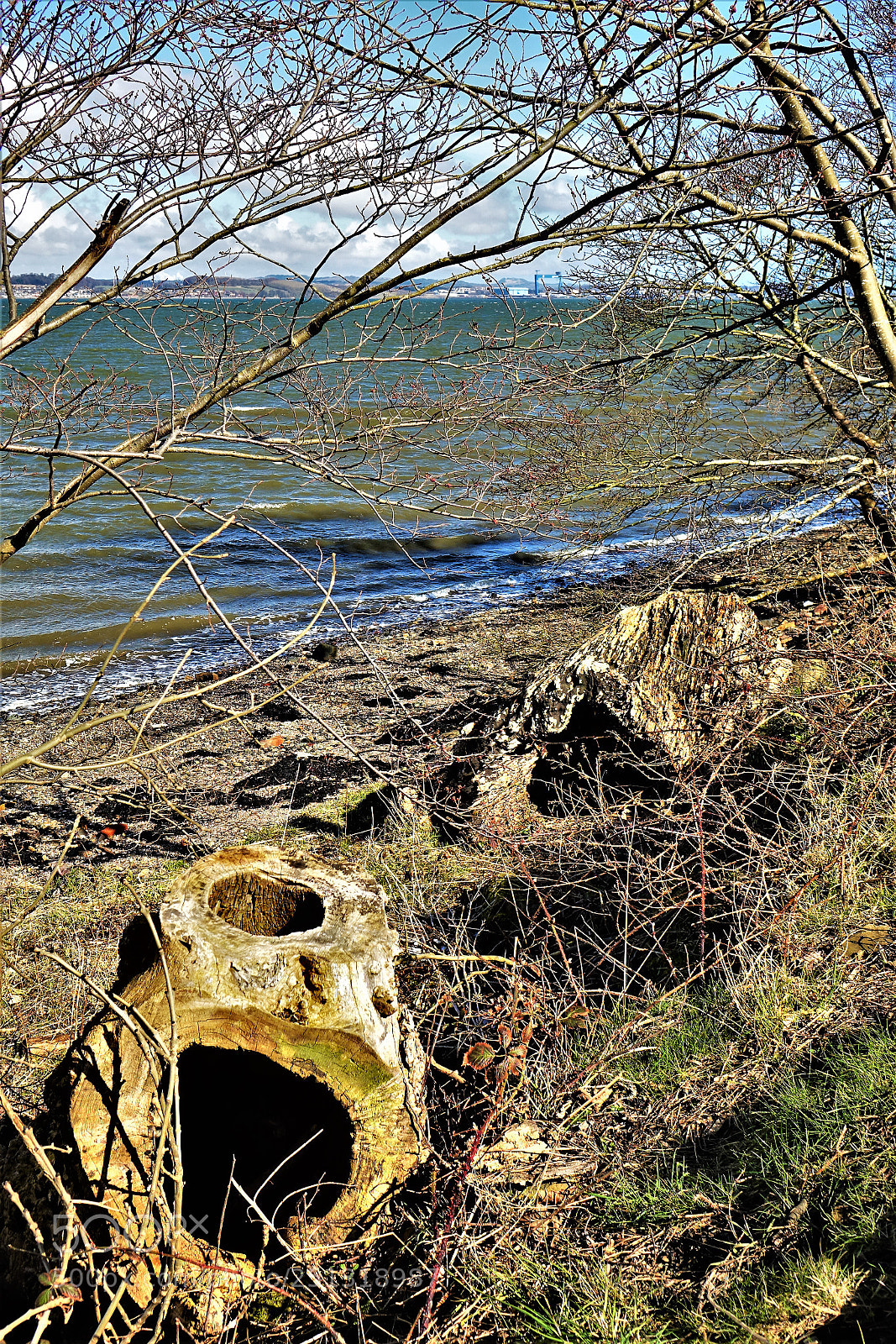 Sony Cyber-shot DSC-RX10 sample photo. Driftwood photography