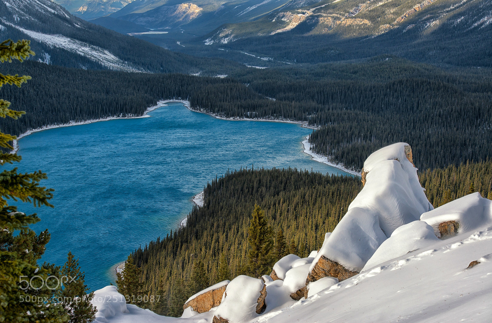 Nikon D800 sample photo. Peyto lake photography
