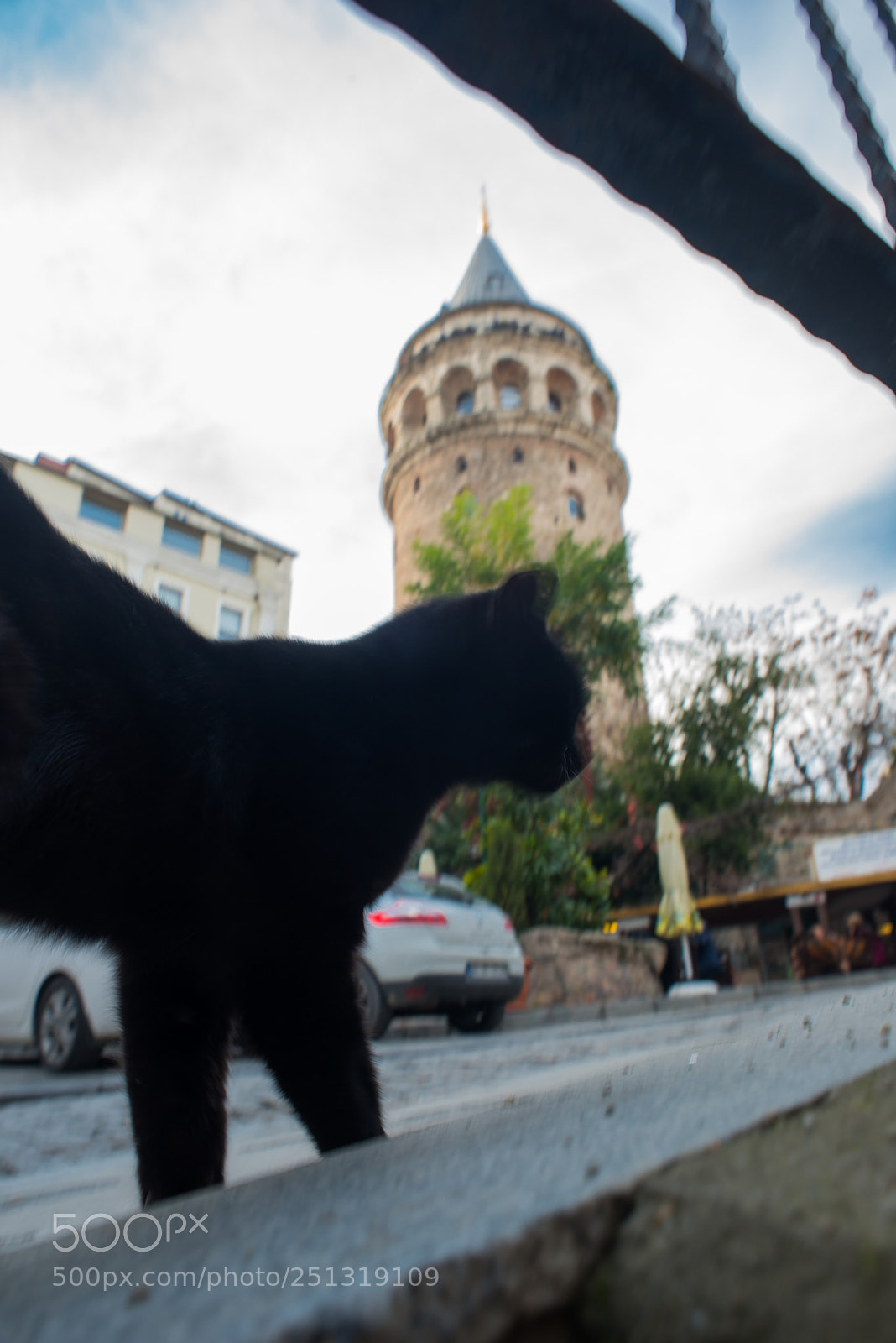 Nikon D800 sample photo. Istanbul. eternal and elusive photography