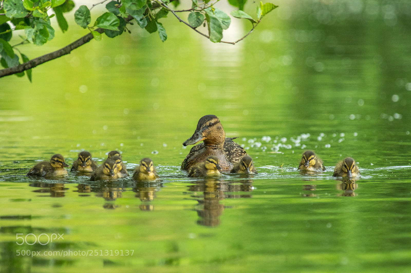 Pentax K-3 sample photo. Big family photography