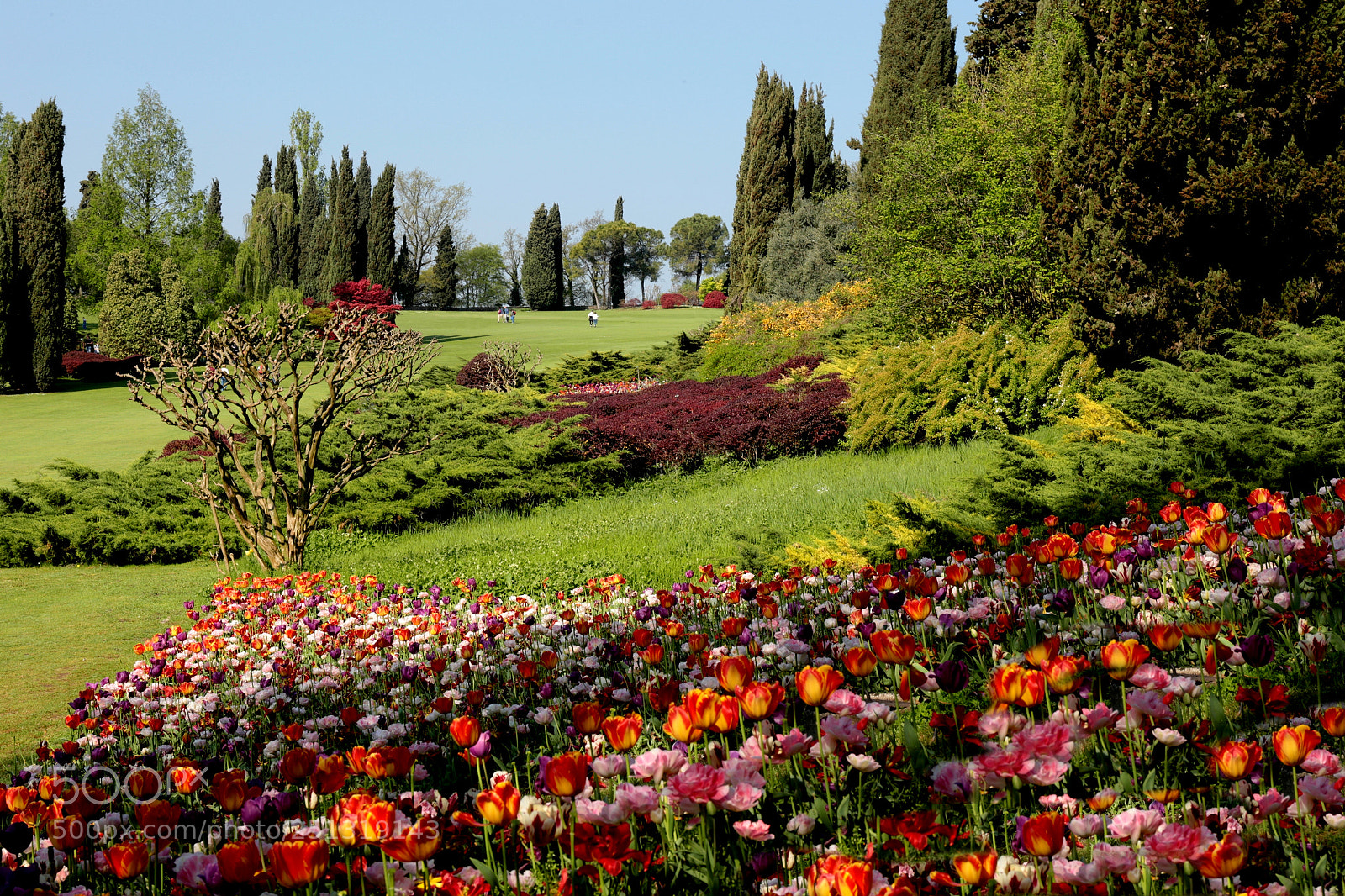 Canon EF 24-70mm F4L IS USM sample photo. Springtime at the park photography