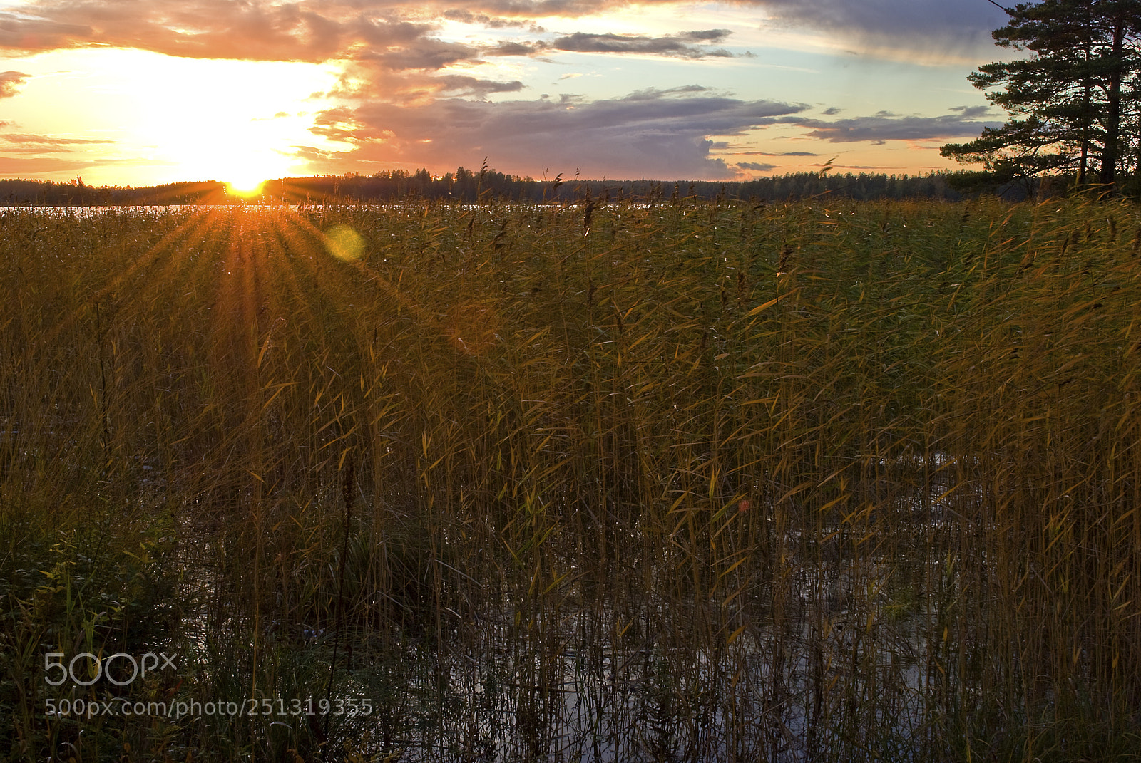 Nikon D80 sample photo. The last sun rays. photography