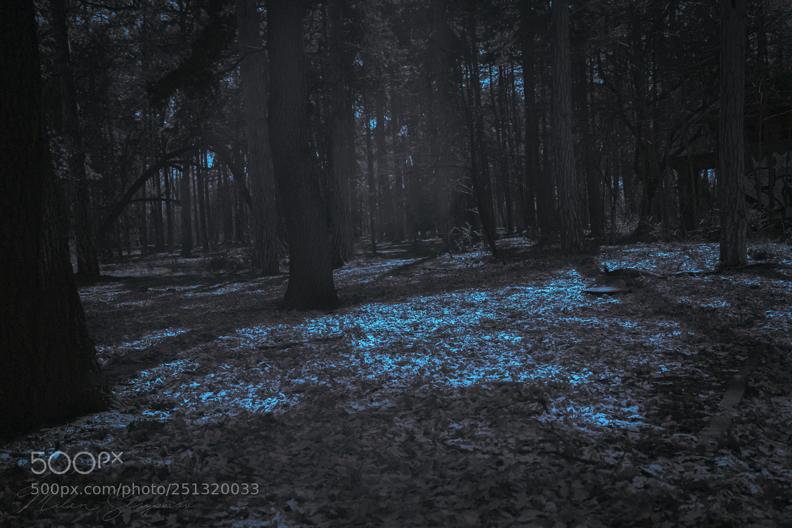 Sony SLT-A68 sample photo. Infrared photography 2 photography