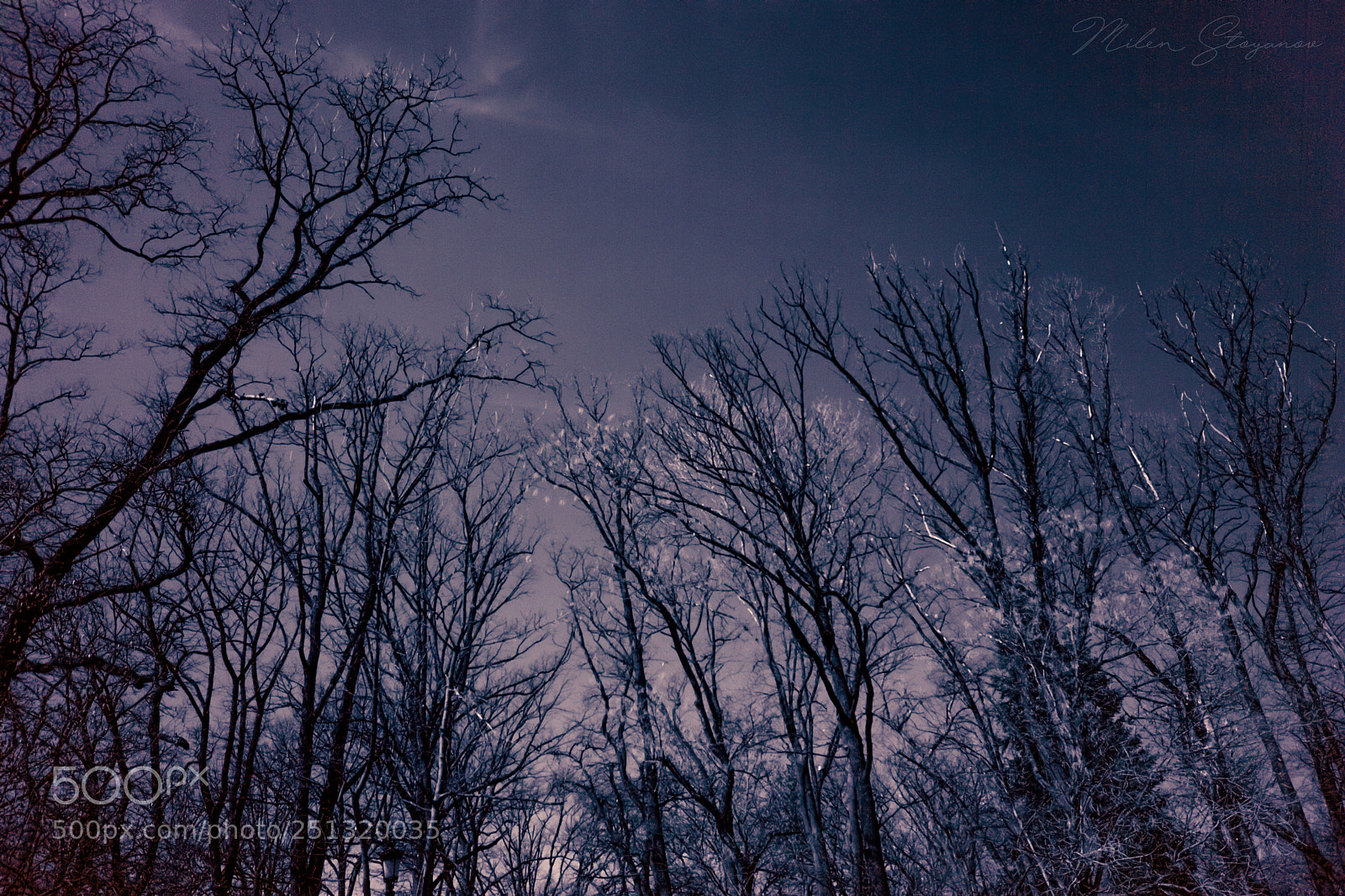 Sony SLT-A68 sample photo. Infrared photography 1 photography