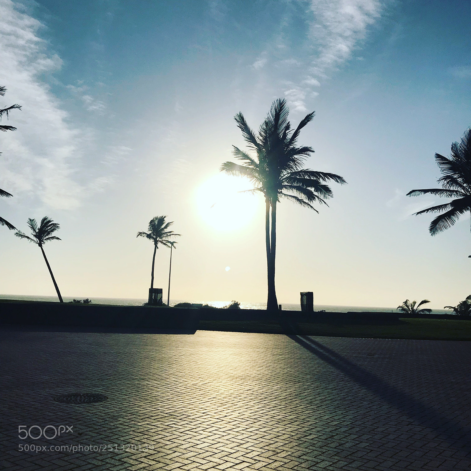 Apple iPhone 7 sample photo. Morning light photography
